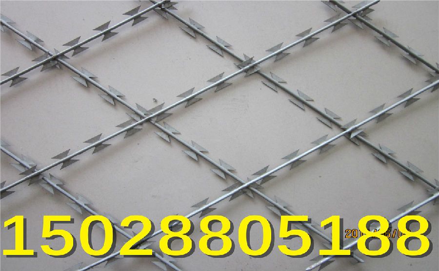 鍍鋅刺繩價(jià)格 鍍鋅刺繩價(jià)格