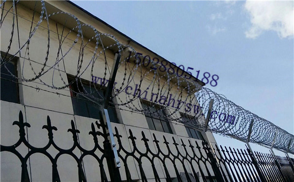 監(jiān)獄防護(hù)網(wǎng) 監(jiān)獄防護(hù)網(wǎng)
