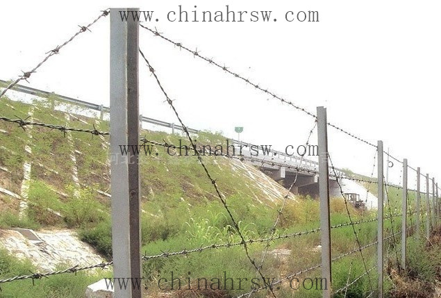 刺繩防護網 刺繩防護網