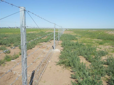 刺繩立柱 刺繩立柱